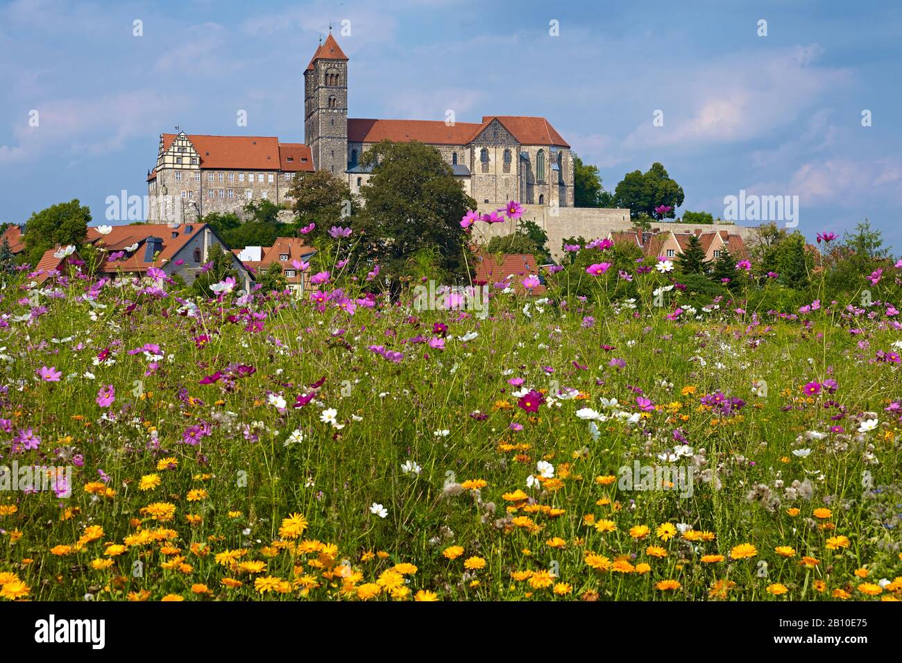 Castello con chiesa collegiata a Quedlinburg, Sassonia-Anhalt, Germania Foto Stock