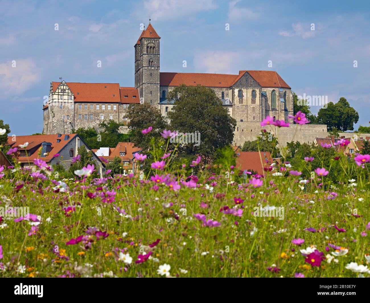 Castello con chiesa collegiata a Quedlinburg, Sassonia-Anhalt, Germania Foto Stock