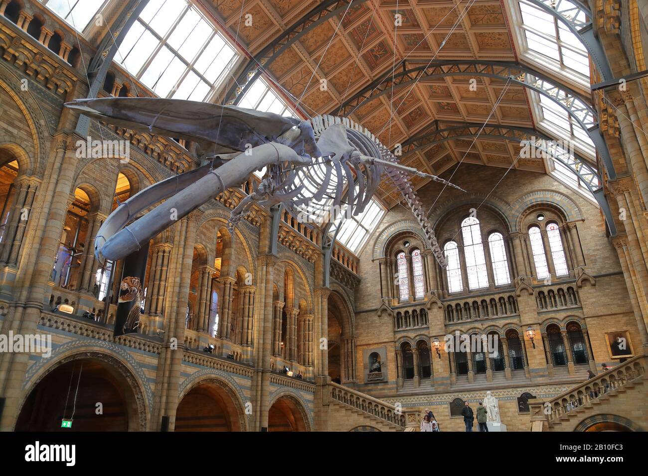 Visitatori all'interno della sala centrale del National History Museum, Londra, Regno Unito Foto Stock