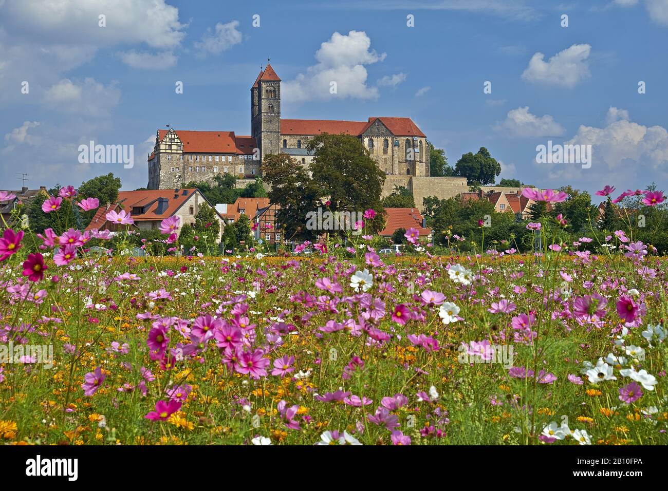 Castello con chiesa collegiata a Quedlinburg, Sassonia-Anhalt, Germania Foto Stock