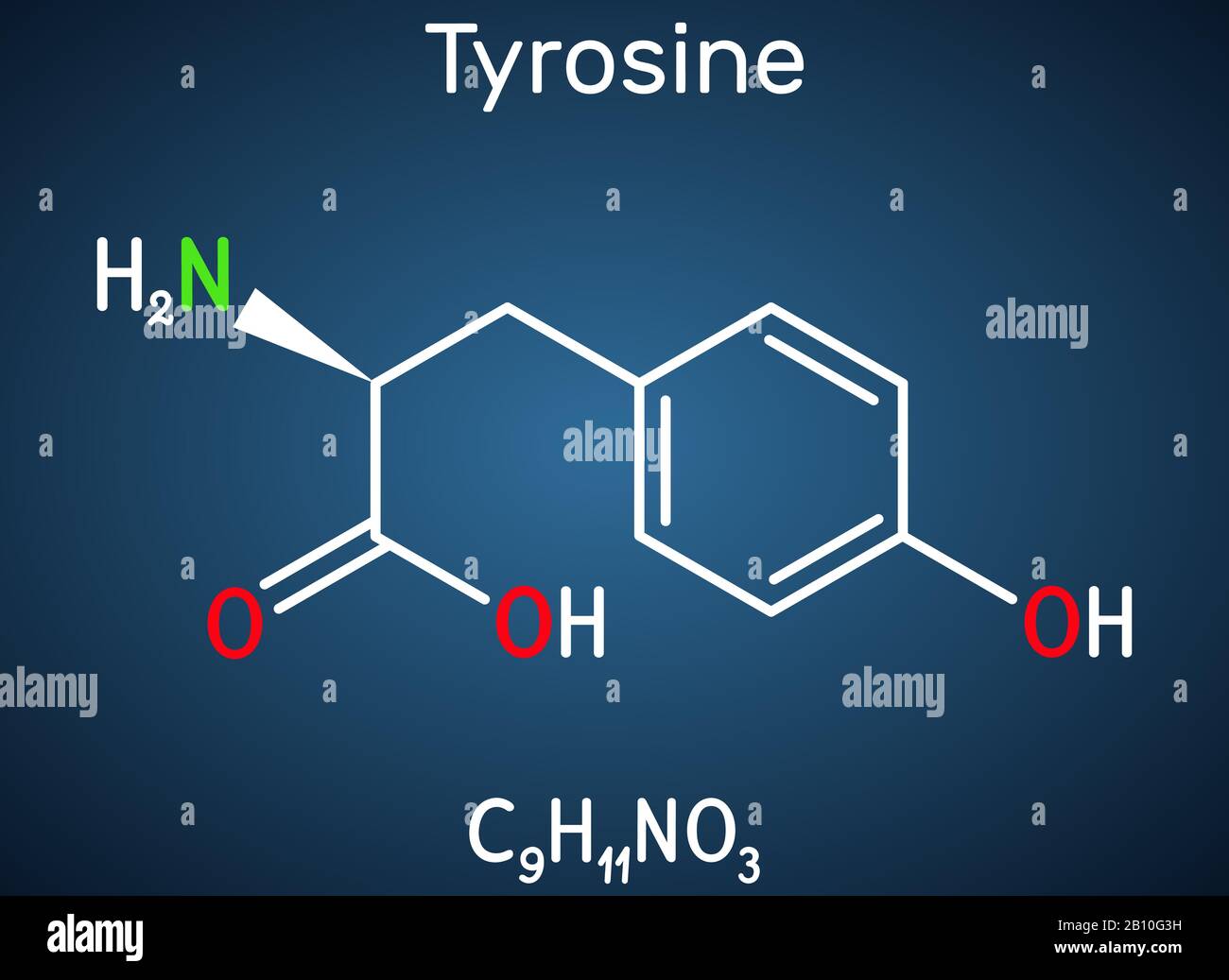 Tirosina, L-tirosina, Tyr, molecola di amminoacido C9H11NO3. Svolge un ruolo nella sintesi proteica, è precursore per la sintesi di catecolammine, timirox Illustrazione Vettoriale