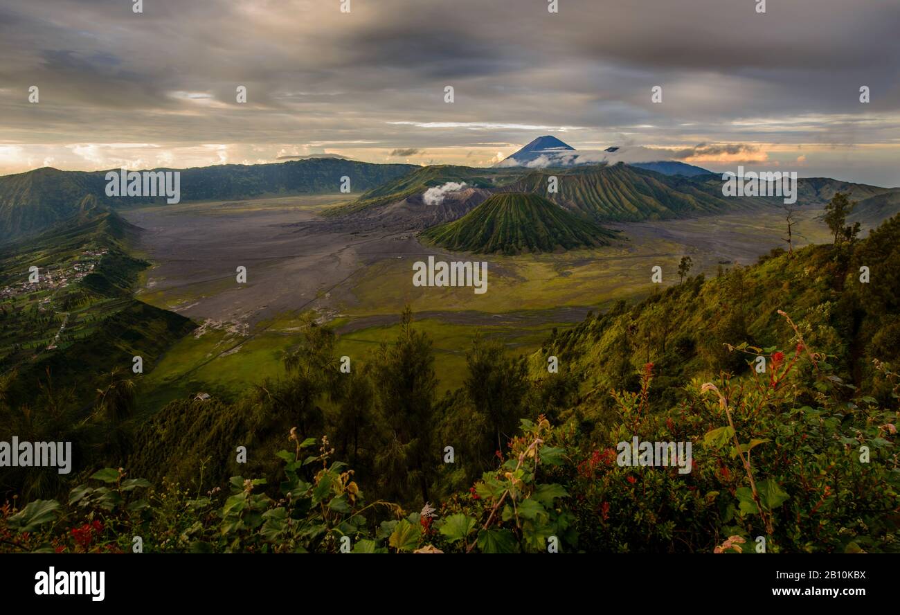 Cratere attivo Di Bromo sulla sinistra, Batok vulcano di fronte e Semeru vulcano dietro, Parco Nazionale Di Bromo Tengger Semeru, Isola di Giava, Indonesia Foto Stock
