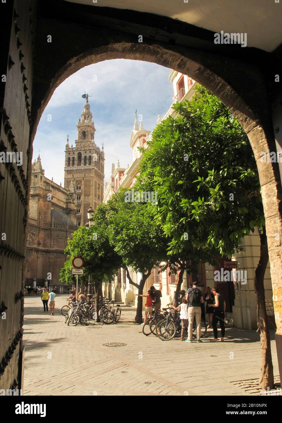 La Giralda. Siviglia. Andalusia. Spagna Foto Stock