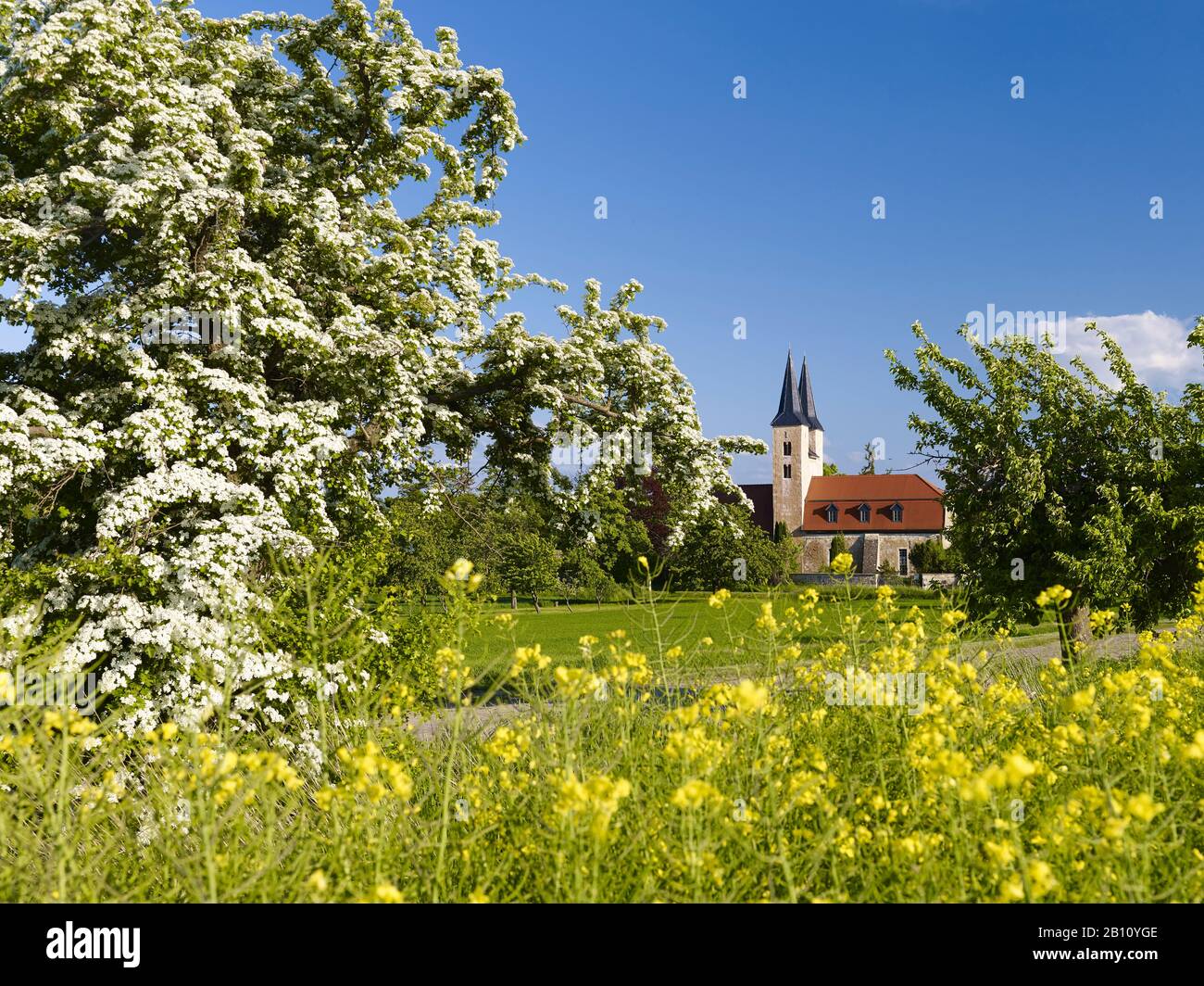 Chiesa Di San Gangolf A Gangloffsömmern, Distretto Di Sömmerda, Turingia, Germania Foto Stock