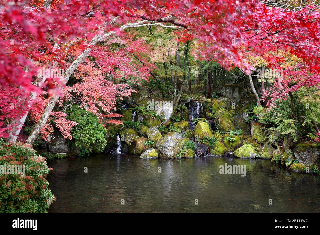 Giappone, isola di Honshu, Kansai, Kyoto, giardini a Digo-ji. Foto Stock