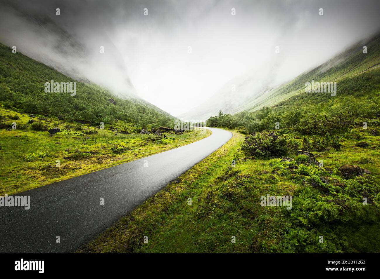Strada attraverso le montagne piovose e nebbiose, Norvegia Foto Stock
