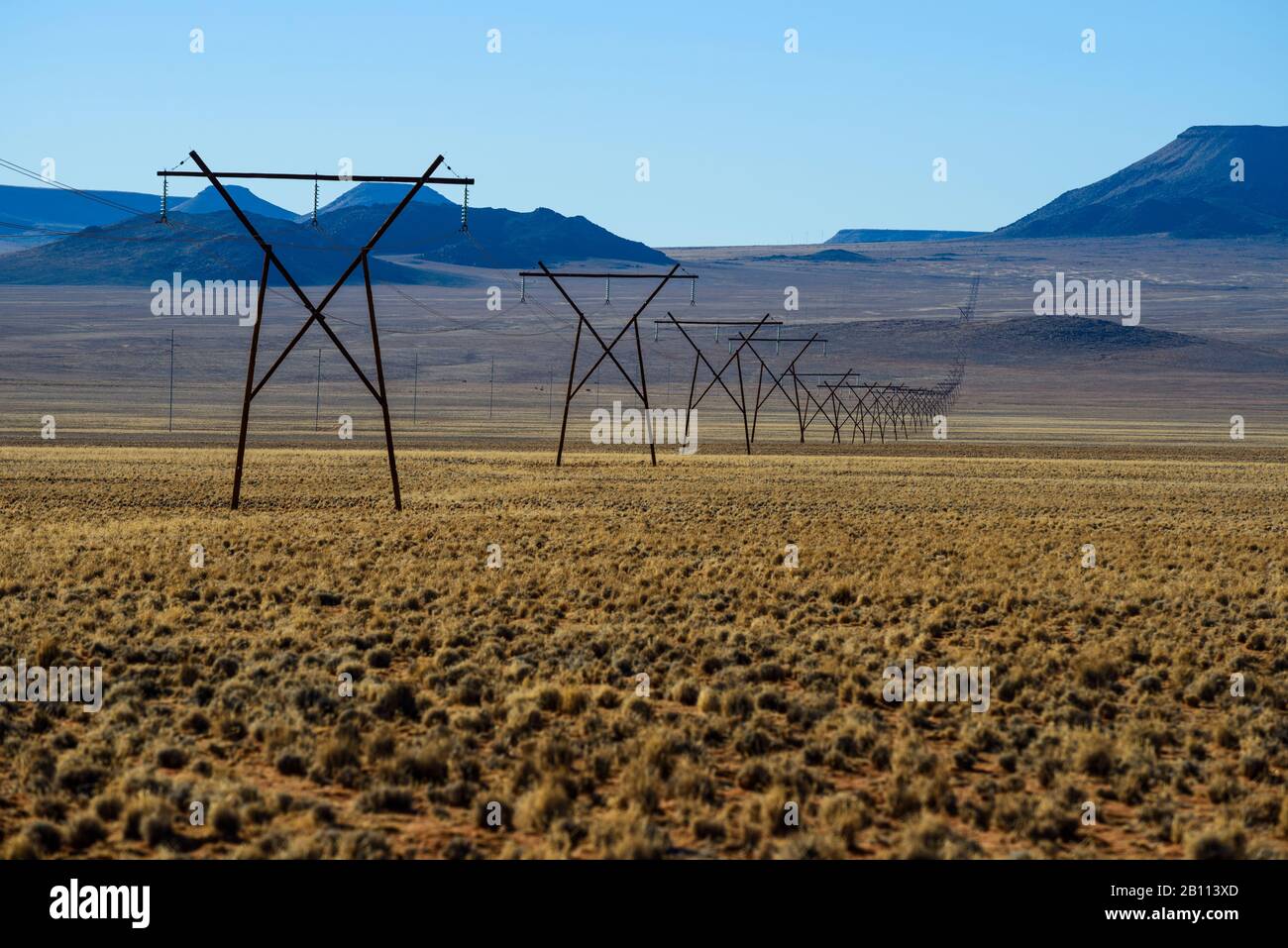 Pilone elettrico attraverso il deserto namibiano, Namibia, Africa Foto Stock