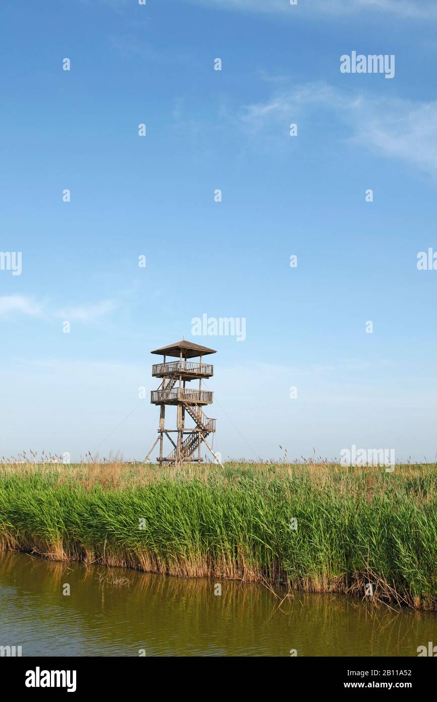 La torre panoramica del parco delle paludi è molto alta Foto Stock