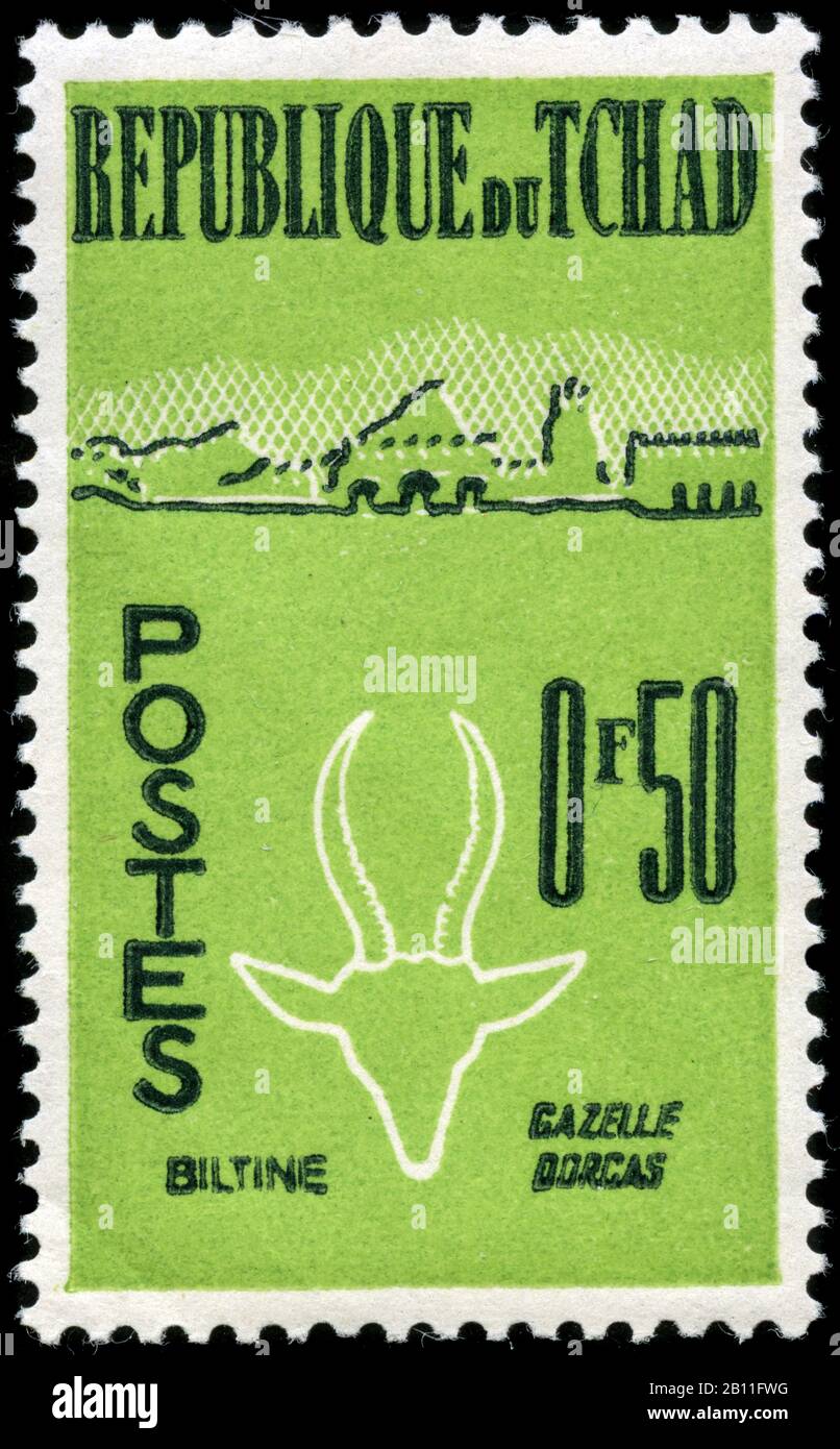 Dorcas Gazelle E Biltine Foto Stock