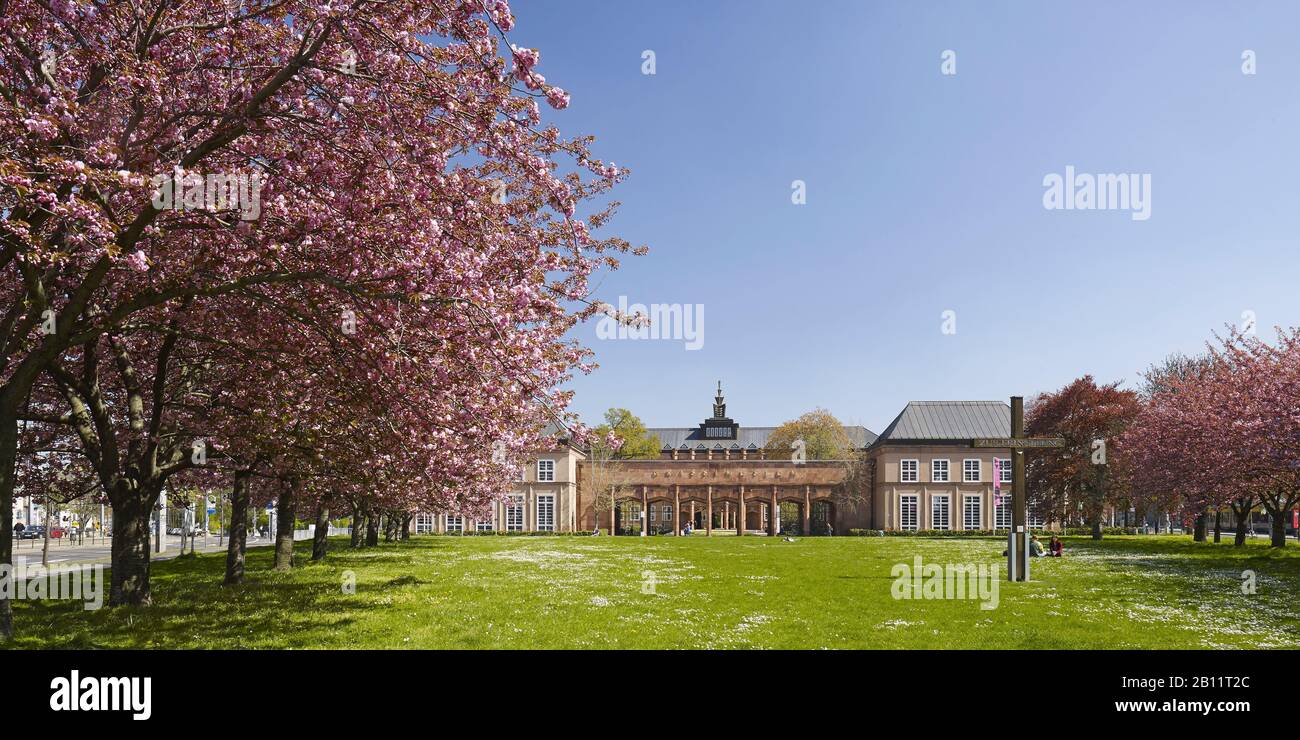 Museo Grassi A Johannisplatz A Lipsia, Sassonia, Germania Foto Stock