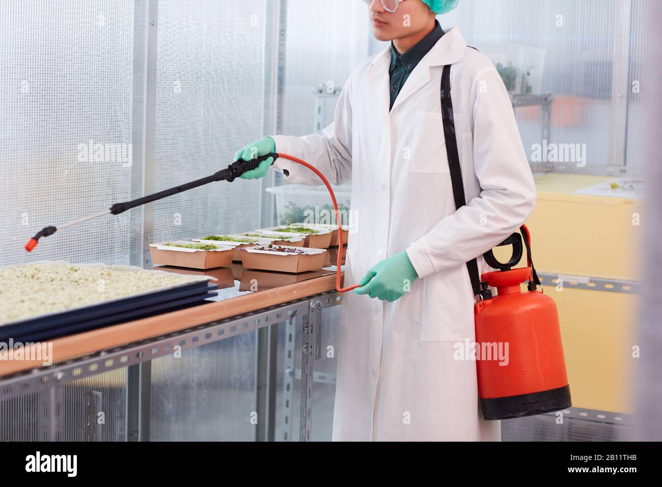 Primo piano dello scienziato nella lavorazione del camice bianco nelle giovani piante con sostanze chimiche durante il suo lavoro in laboratorio Foto Stock