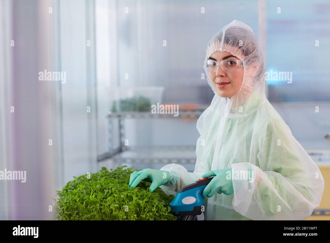 Ritratto di giovane donna in indumenti da lavoro protettivi guardando la fotocamera mentre taglia giovani piante in laboratorio Foto Stock