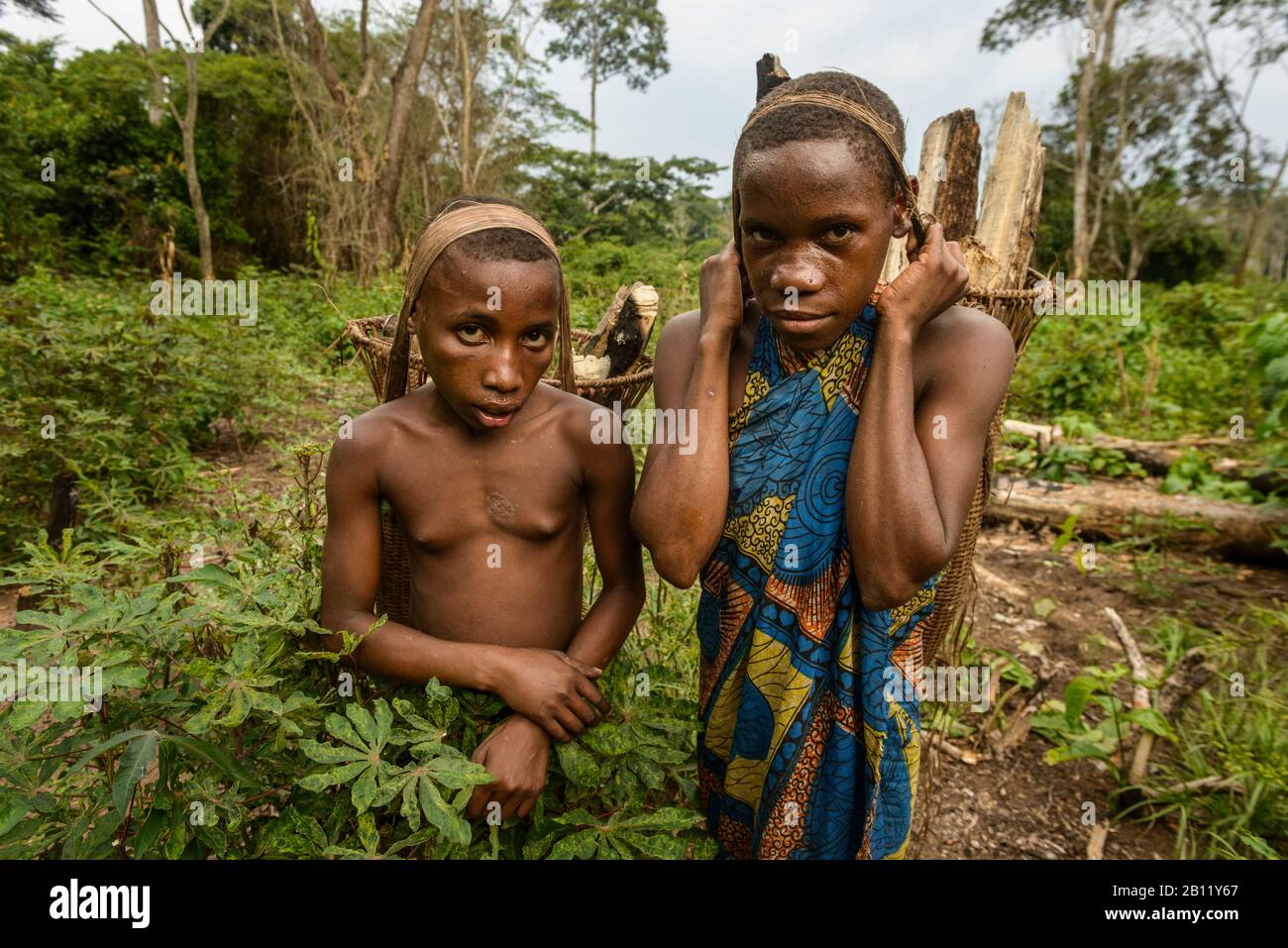 La vita dei Pigmei Bayaka nella foresta equatoriale, Repubblica Centrafricana, Africa Foto Stock