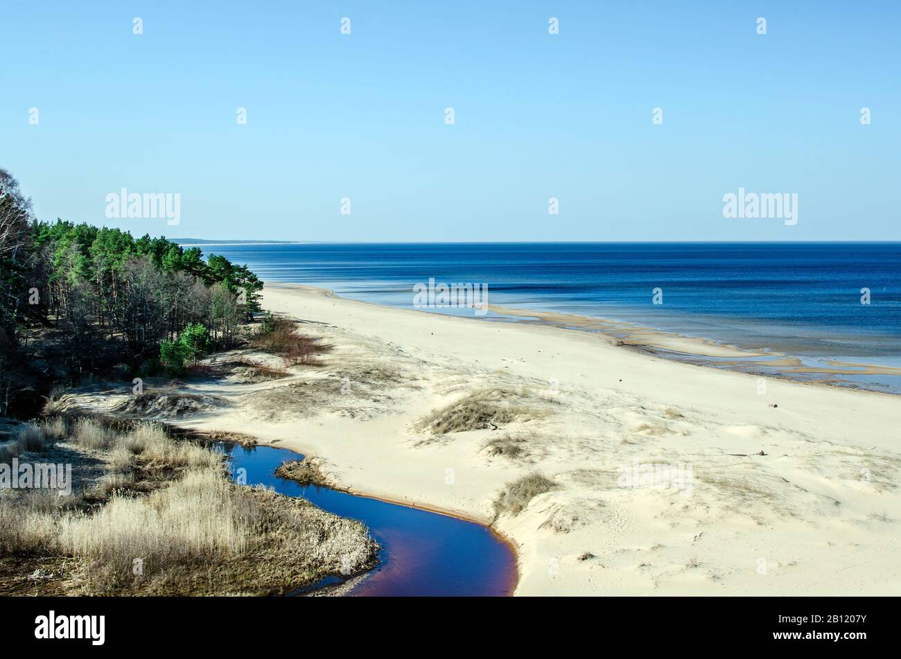 La Duna Bianca e il Baltico vedere a Saulkrasti in primavera, Lettonia. Spiaggia di sabbia bianca vicino alla foresta di conifere nel Baltico. Foto Stock