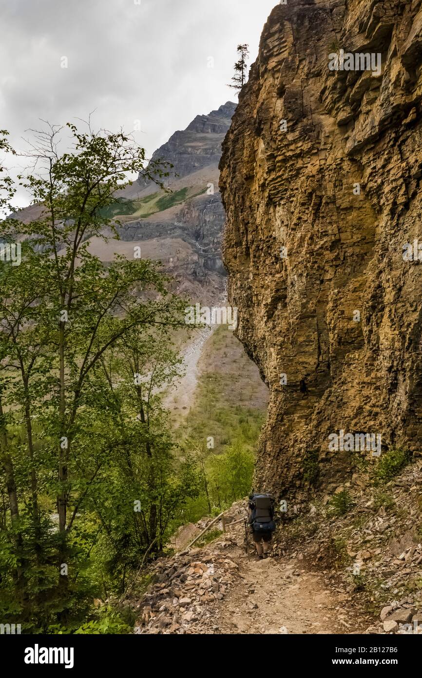 Berg Lake Trail a Mount Robson Provincial Park, British Columbia, Canada [Nessuna versione del modello; disponibile solo per le licenze editoriali] Foto Stock