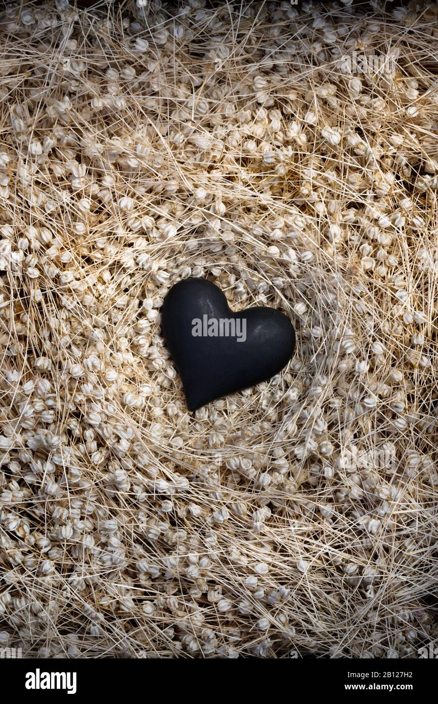 Cuore nero nel nido di teste di seme essiccate Foto Stock