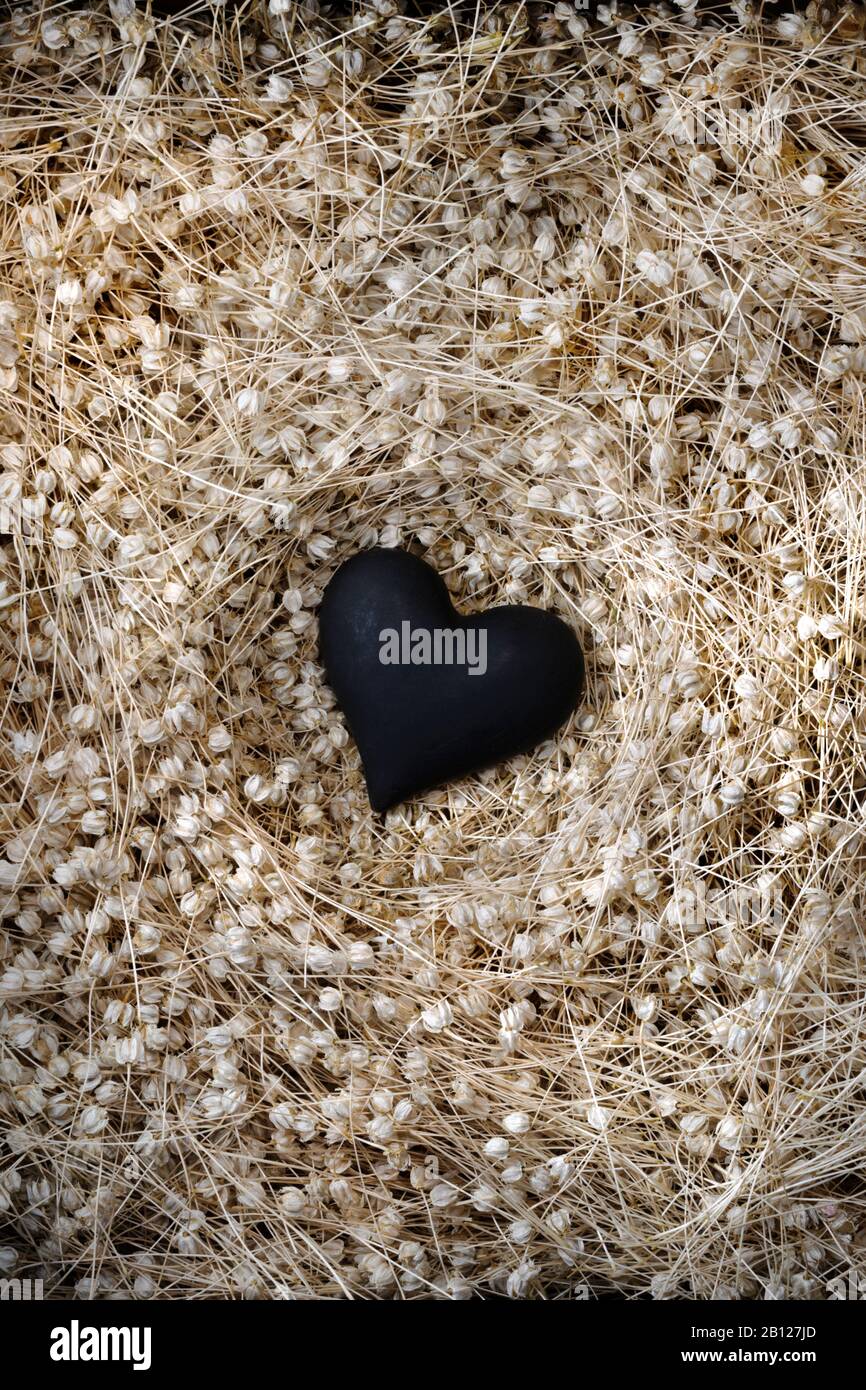Cuore nero nel nido di teste di seme essiccate Foto Stock
