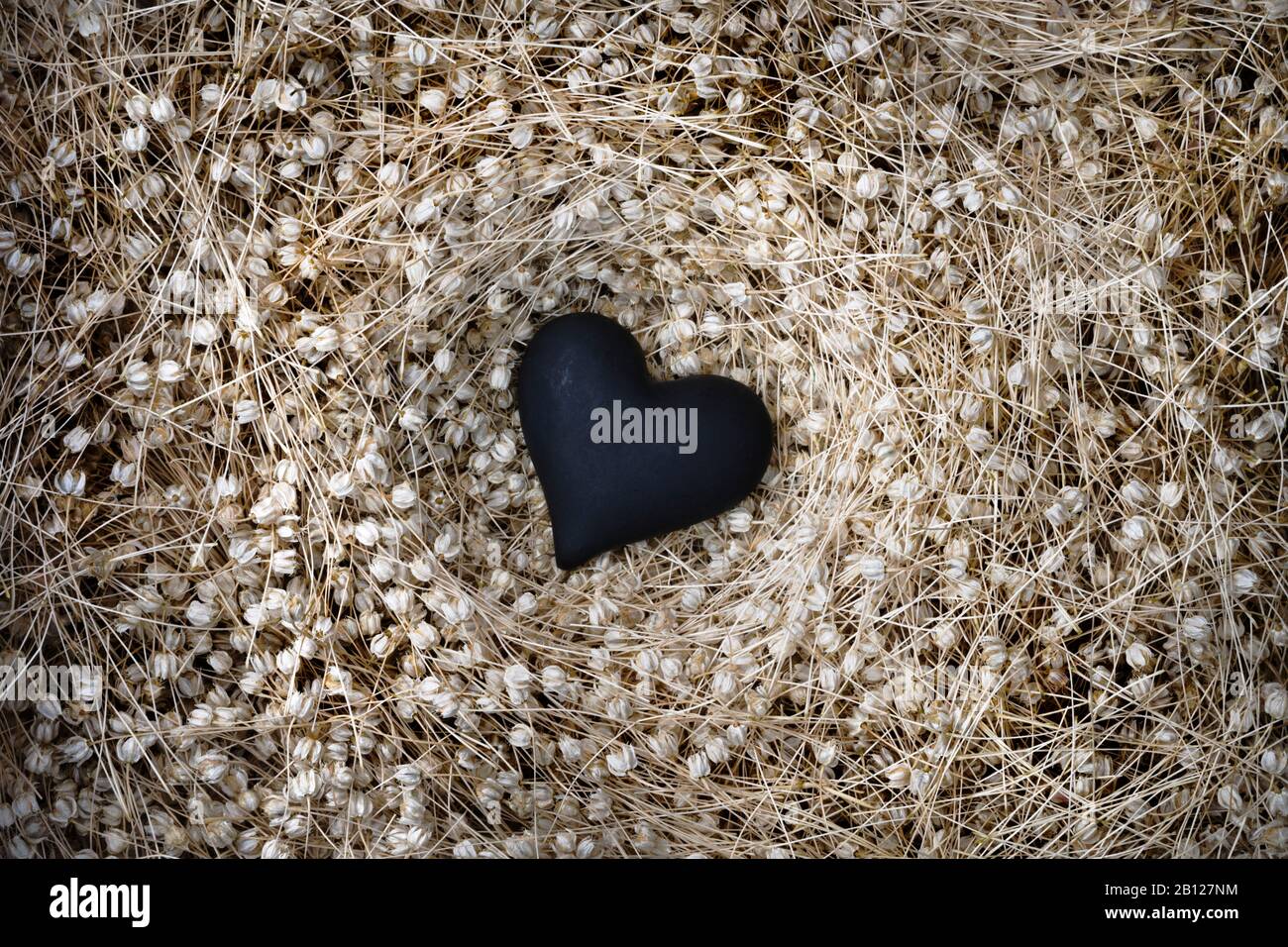 Cuore nero nel nido di teste di seme essiccate Foto Stock