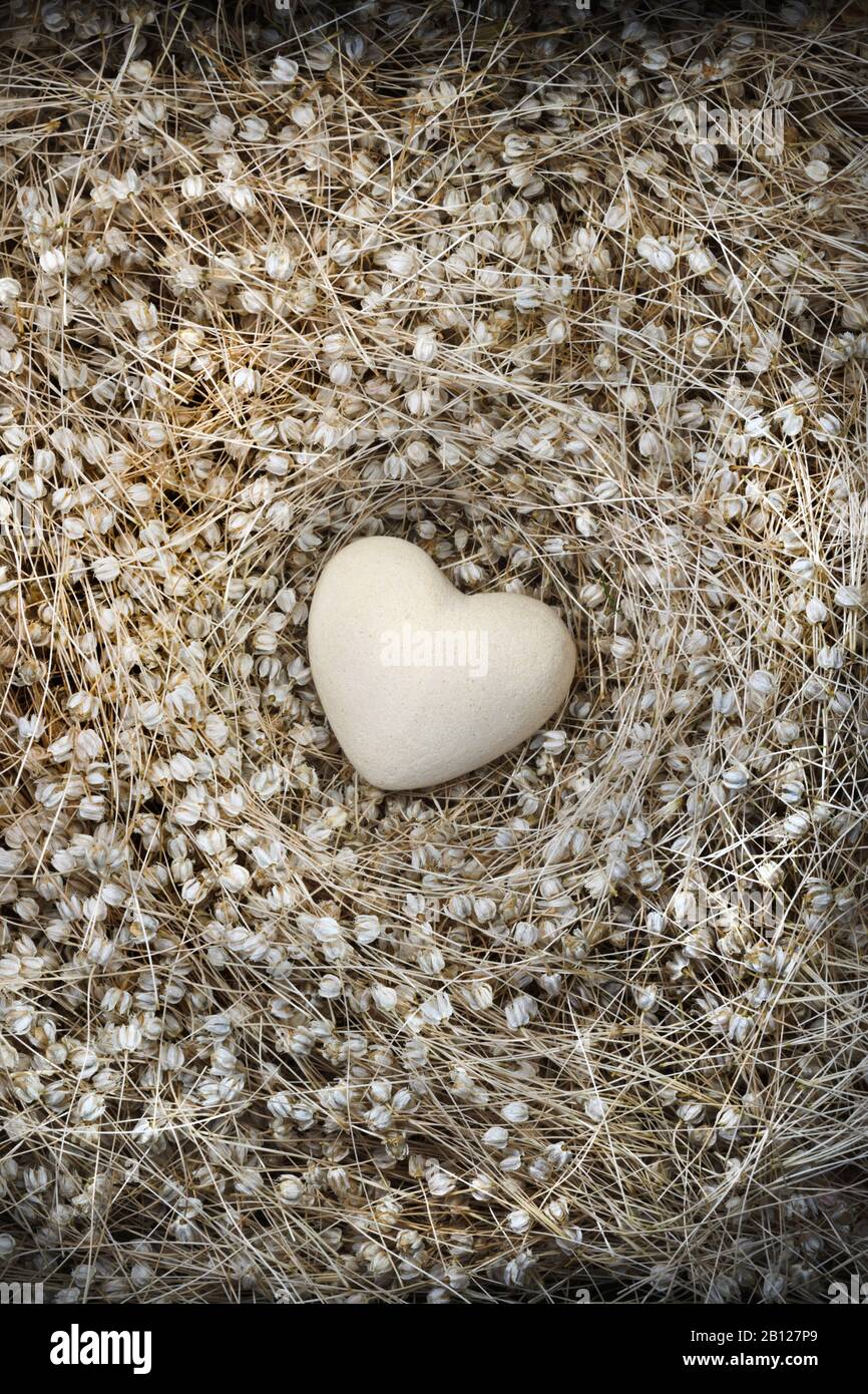 Papier mache uovo a forma di cuore accoccolato in un letto di teste di seme essiccate Foto Stock