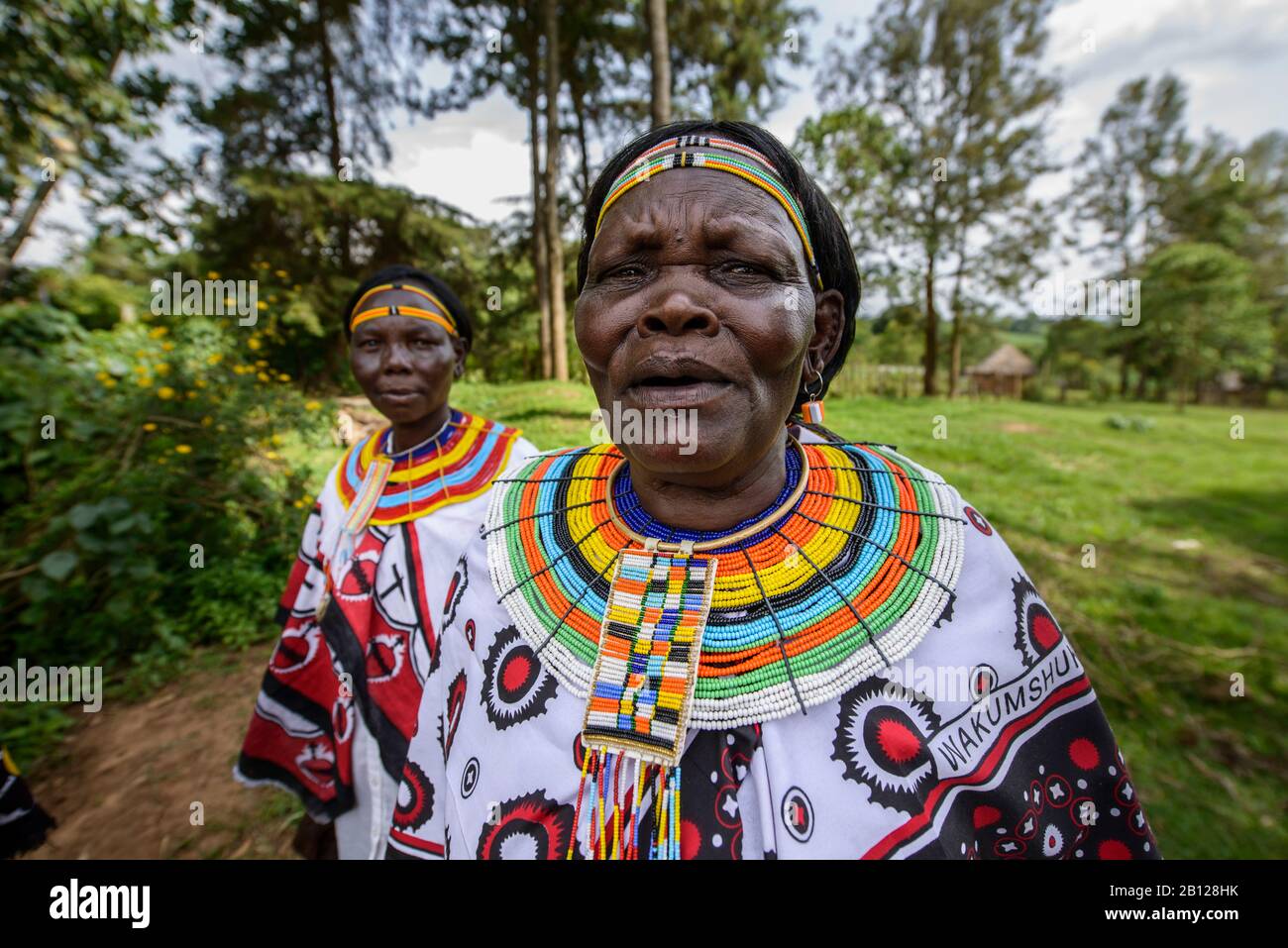 Le donne della tribù Pokot, Kenya Foto Stock