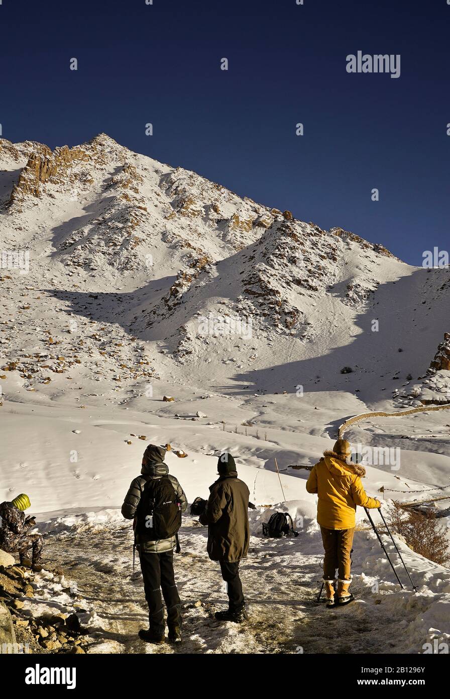 Spedizione turistica alla ricerca di leopardo neve nella valle di Ulley. Ladakh. Himalaya. India Foto Stock