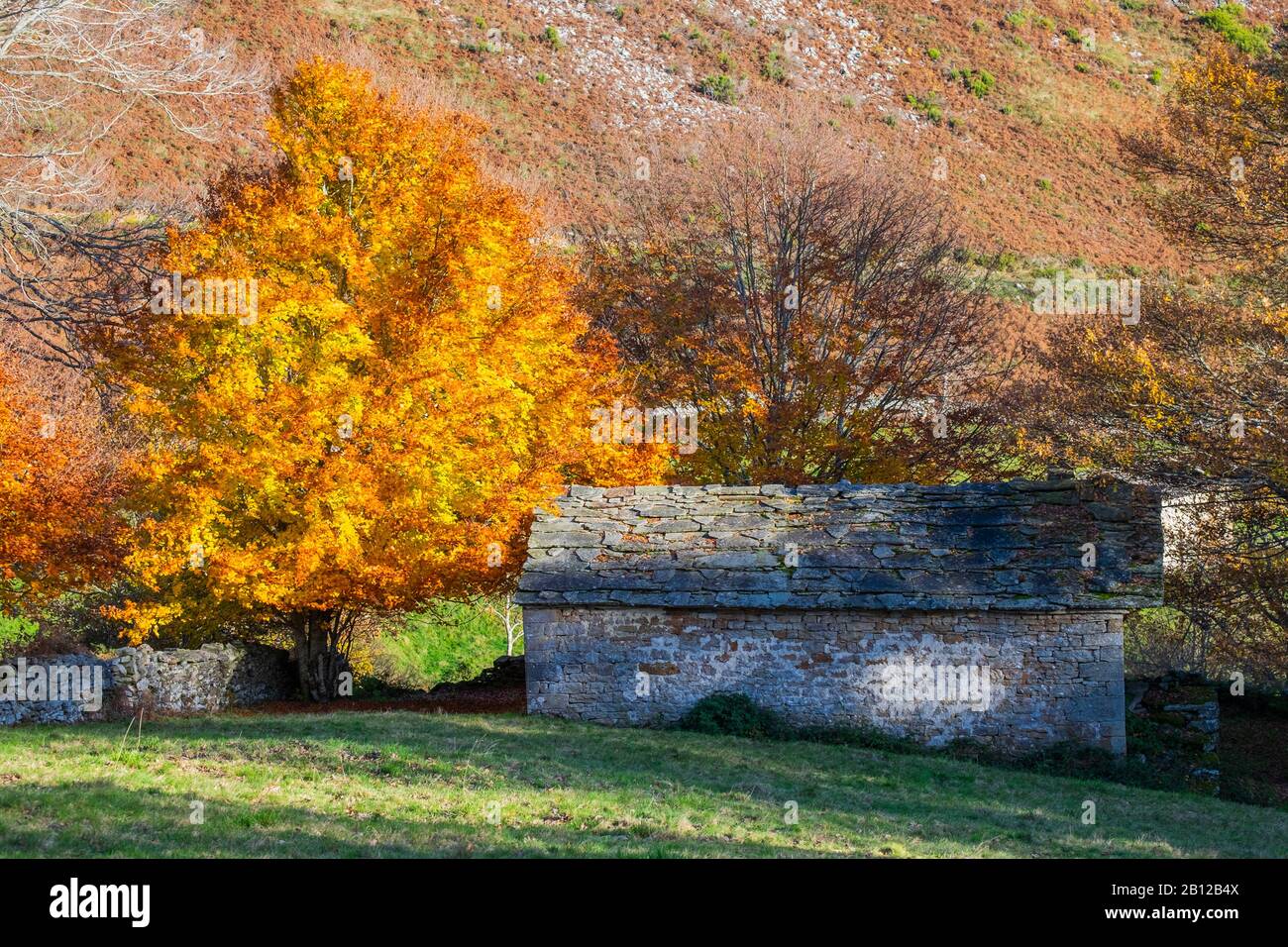 Sole autunno giorno. Valles pasiegos, cantabria, Spagna Foto Stock