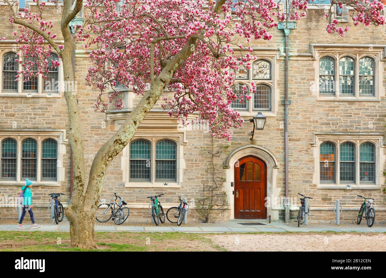 Sala dei titolari nel campus della Princeton University. Princeton University è un'università privata della Ivy League nel New Jersey, Stati Uniti. Foto Stock