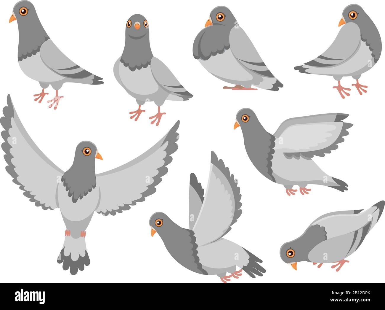 Piccione cartone animato. Uccello colomba della città, piccioni volanti e uccelli della città colomba isolato vettore illustrazione set Illustrazione Vettoriale