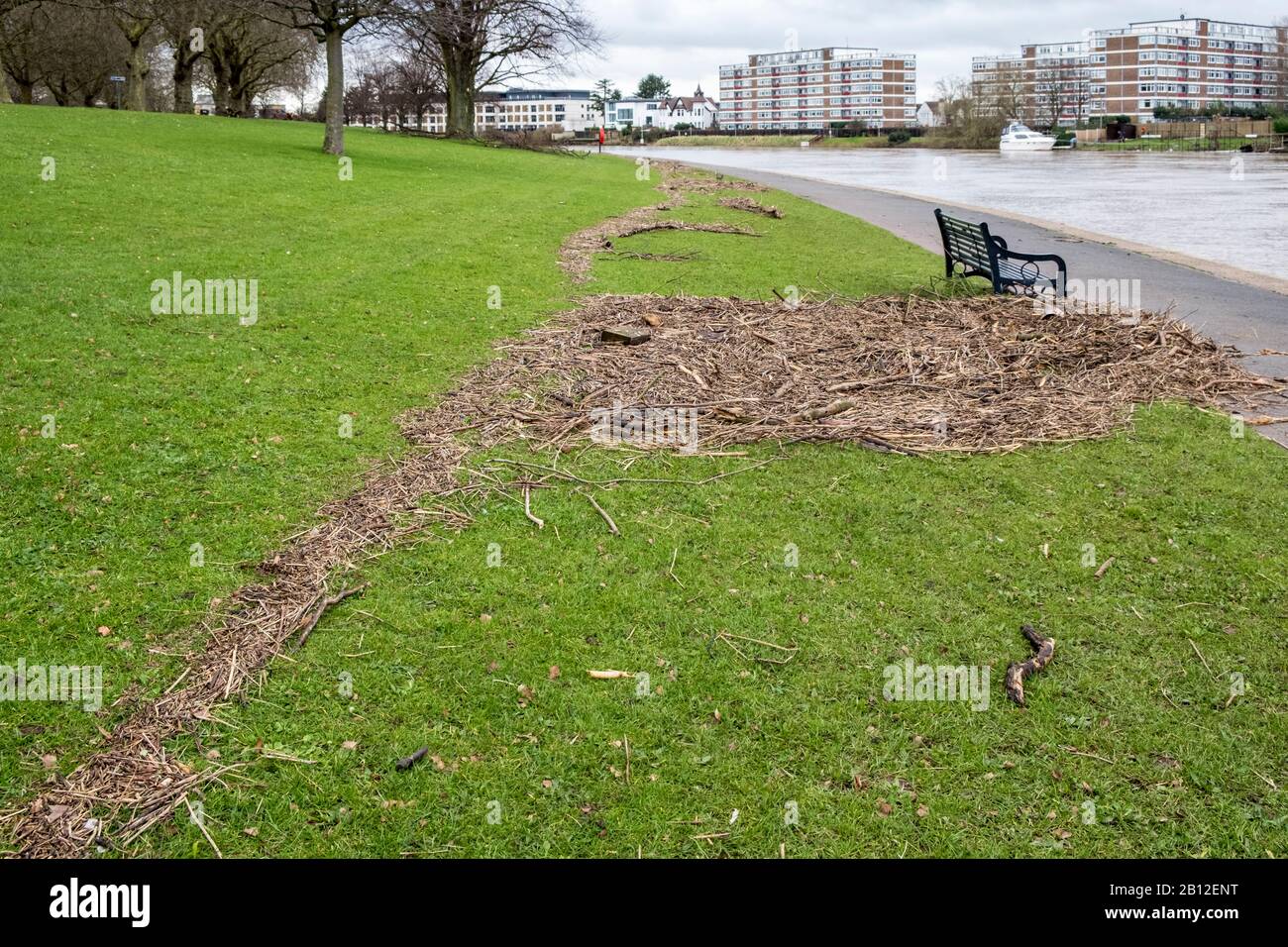 Livello di alluvione. Detriti di fiume lungo una riva del fiume Trent che mostra il segno dell'alta acqua del fiume quando allagato, Nottingham, Inghilterra, Regno Unito Foto Stock