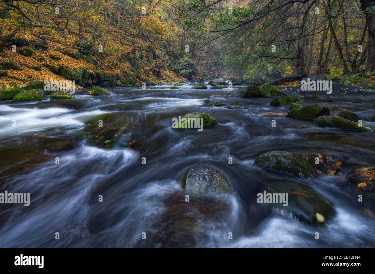 Bode con foglie di autunno, Bodetal, Harz, Sassonia-Anhalt, Germania Foto Stock