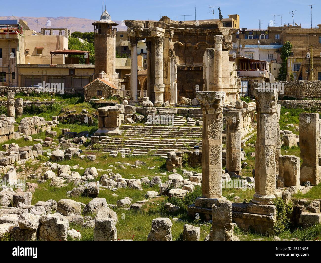 Tempio di Venere tempio nell'antica città di Baalbek, Libano, Medio Oriente Foto Stock