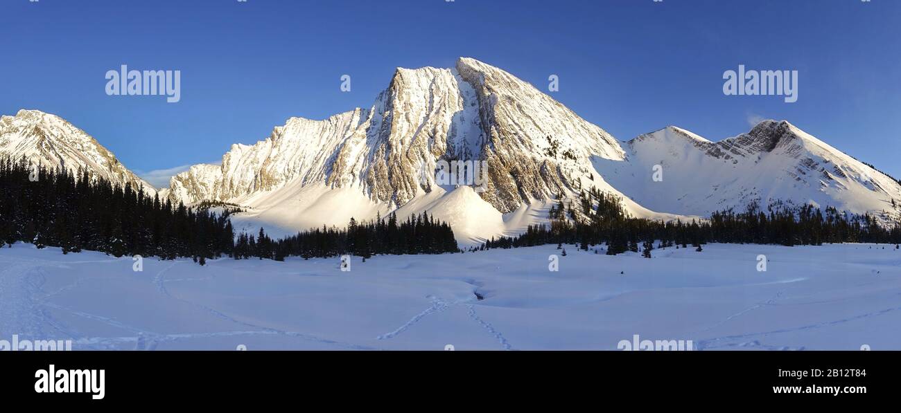 Ampio Paesaggio Invernale Panoramico Prato Alpino Innevato Cime Montuose Innevate Distanti Su Horizon. Kananaskis Country, Canadian Rockies, Alberta Foto Stock