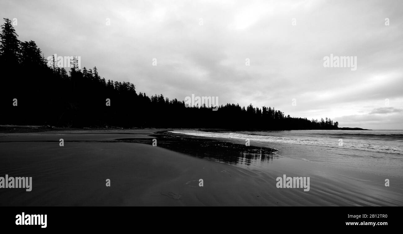 Florencia bay. Tofino. Isola di Vancouver. British Columbia. Canada Foto Stock