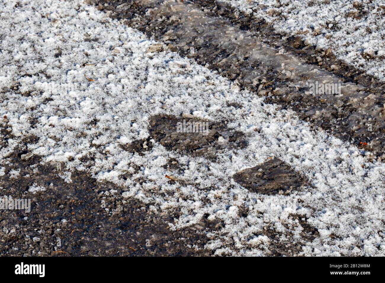 L'ingombro lasciato da uno stivale è rimasto impressionato da una neve ghiacciata su un terreno sottile in un parcheggio. L'asfalto pavimentato è visto al suo interno, un Foto Stock