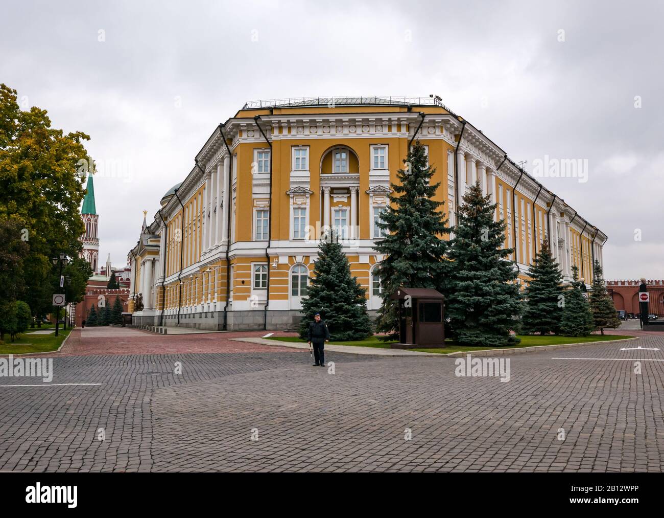 Edificio Colorato Del Senato Del Cremlino E Torre Nikolskaya, Cremlino, Mosca, Federazione Russa Foto Stock