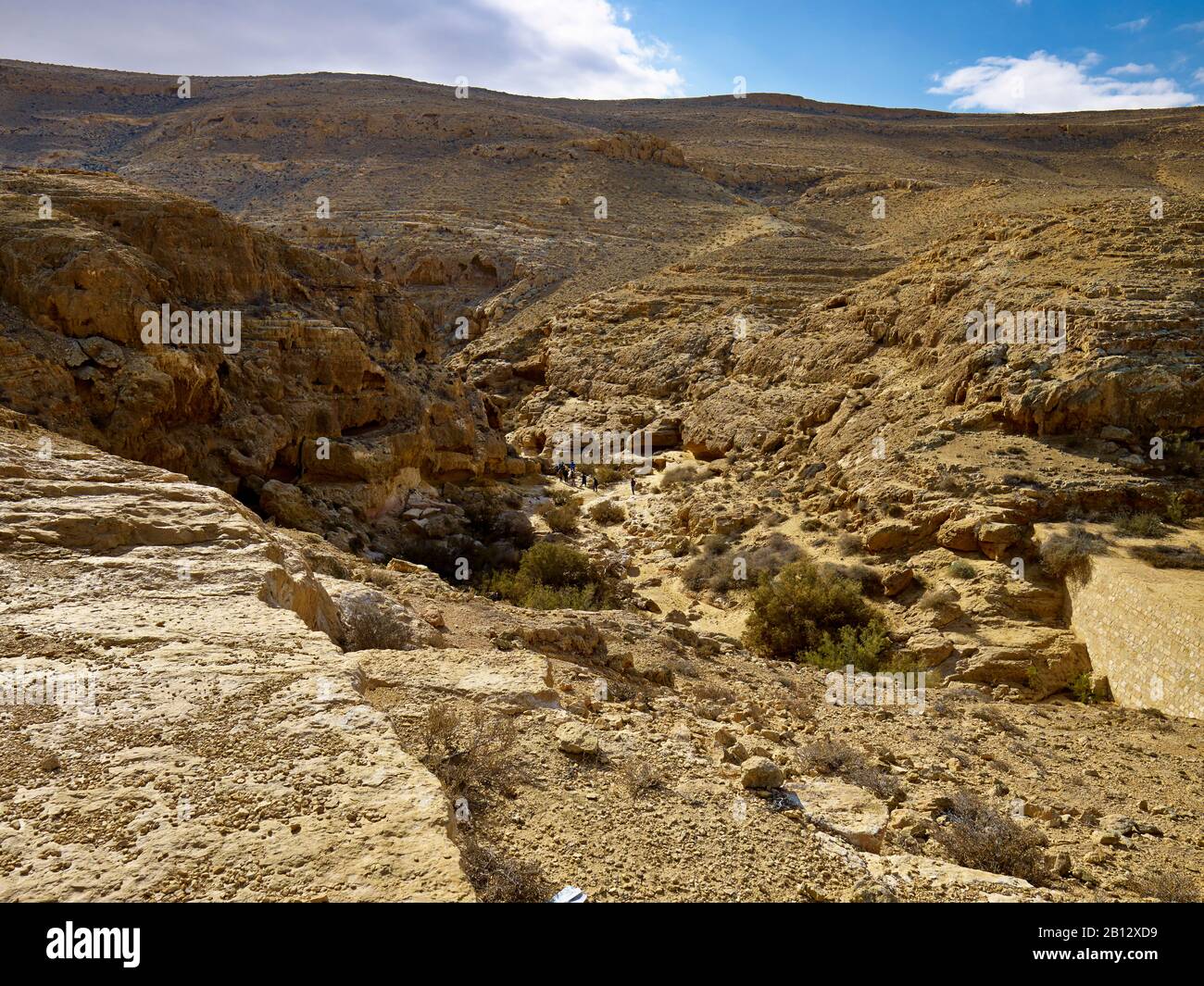 Wadi a Mershit in Incentse Road, Negev, Israele Foto Stock
