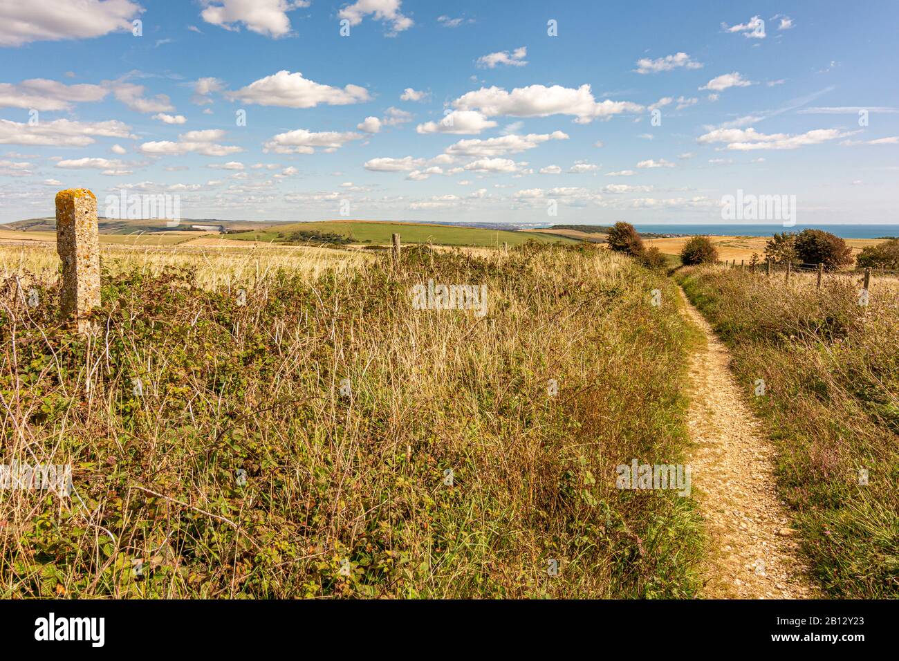Fine estate nel South Downs National Park - sentiero che conduce a sud-est da Cissbury Ring verso Tenants Hill, West Sussex, Inghilterra meridionale, Regno Unito. Foto Stock