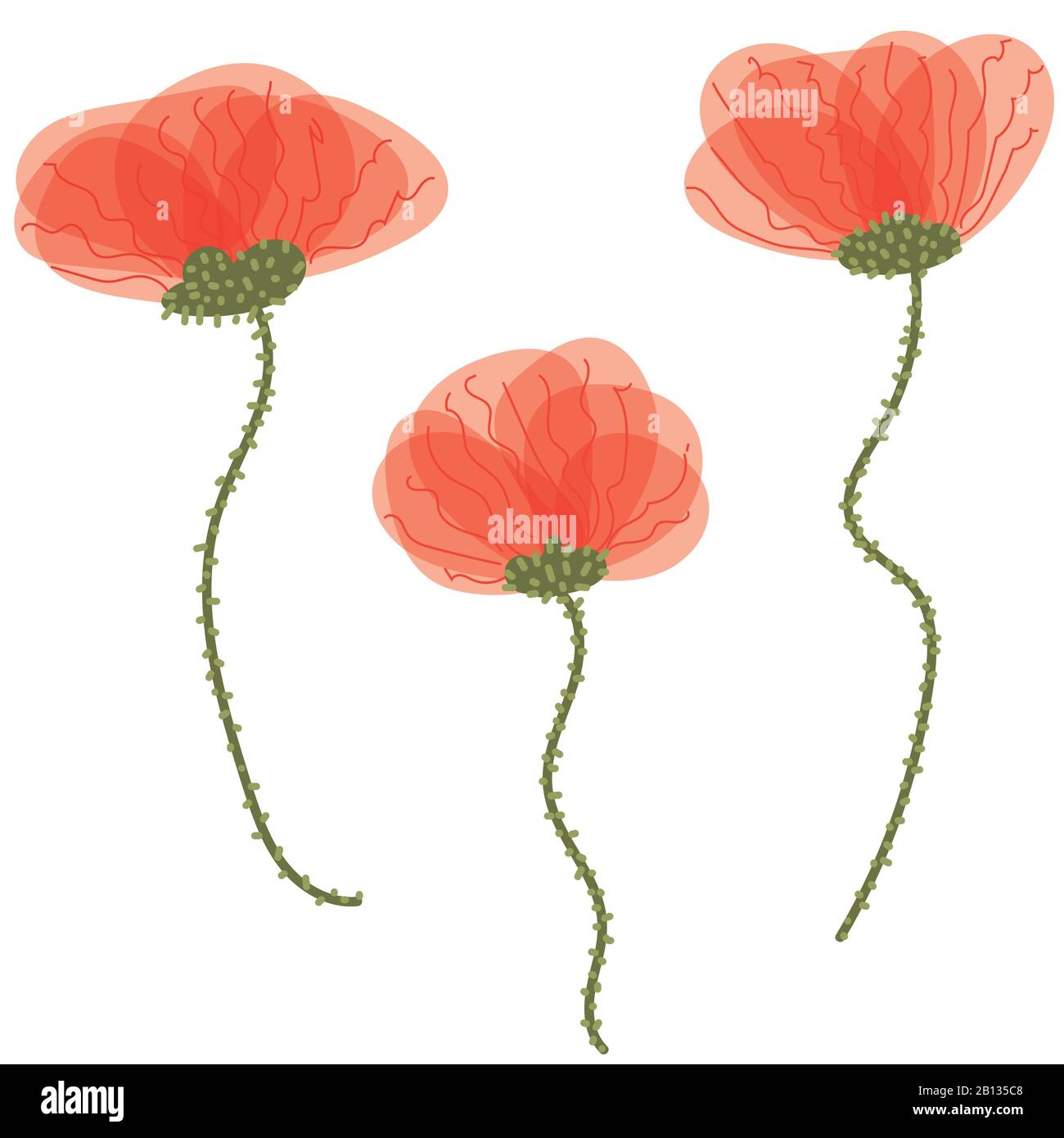 set di tre illustrazioni vettore fiore papavero Illustrazione Vettoriale