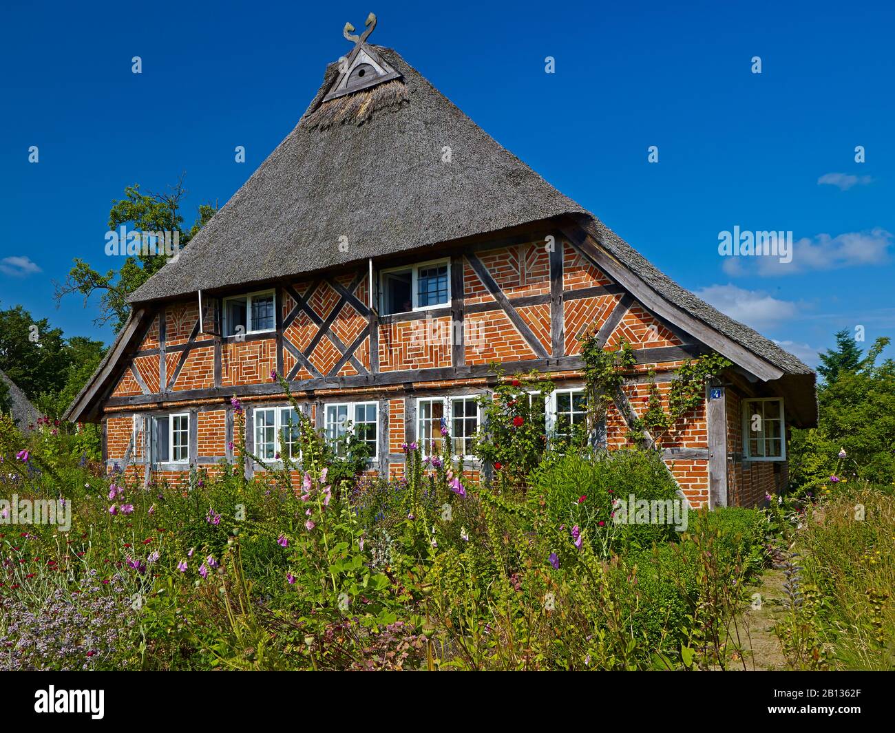 Distretto Di Groß Zecher Di Seedorf Am Schaalsee,Kreis Herzogtum Lauenburg,Schleswig-Holstein,Germania Foto Stock