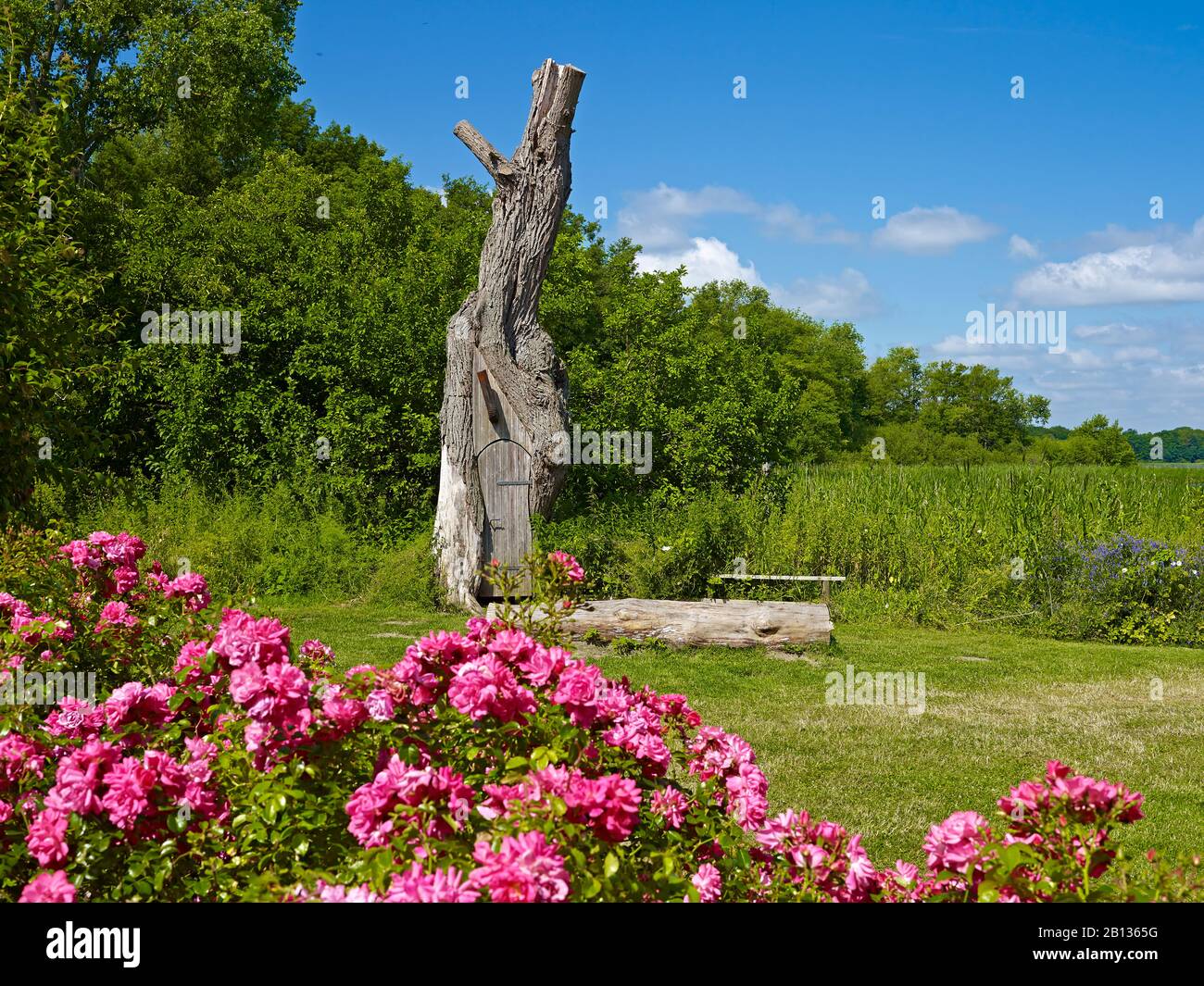 Albero con porta nel distretto di Groß Zecher di Seedorf am Schaalsee,Kreis Herzogtum Lauenburg,Schleswig-Holstein,Germania Foto Stock