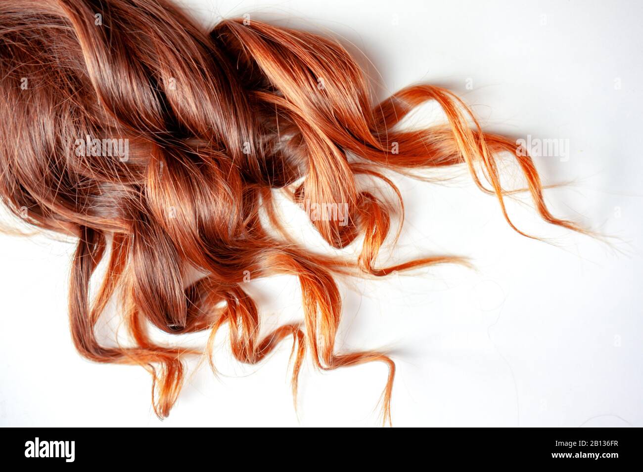 capelli ricci di colore rosso fragola bello su sfondo bianco isolato Foto Stock