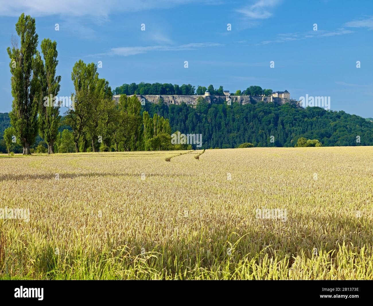 Königstein Fortress,Sächsische Schweiz-Osterzgebirge,Sassonia,Germania Foto Stock