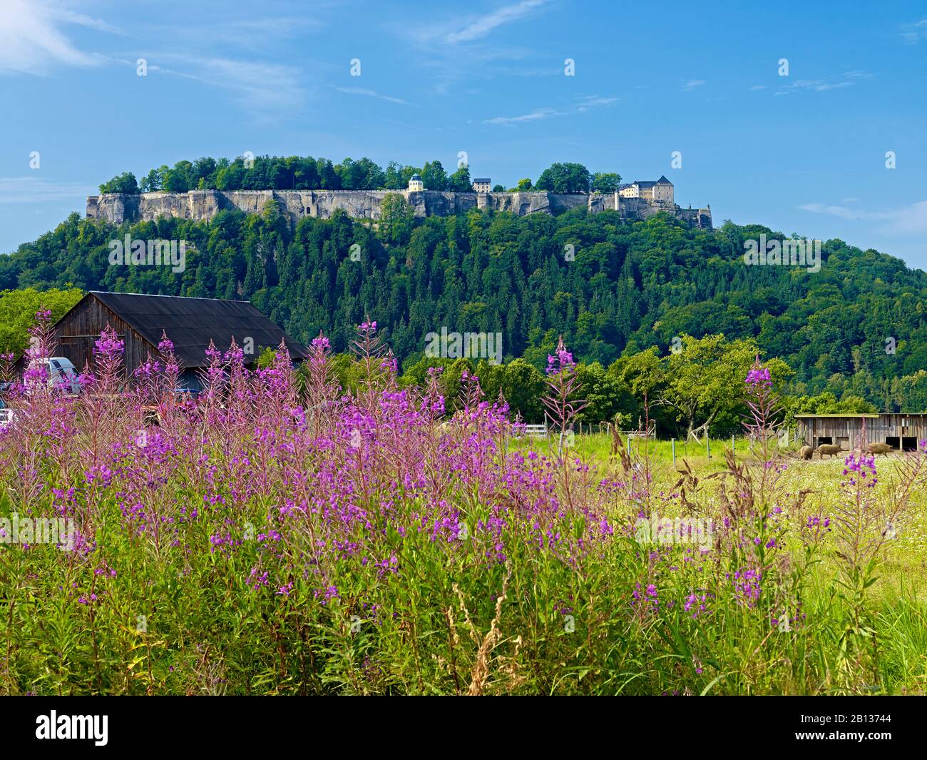 Königstein Fortress,Sächsische Schweiz-Osterzgebirge,Sassonia,Germania Foto Stock