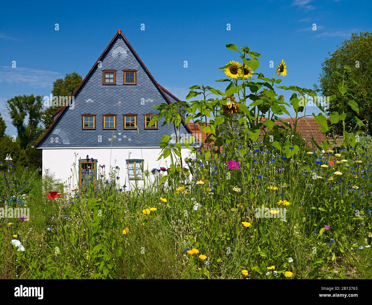 Giardino con casa nei pressi di Bad Schandau,Sächsische Schweiz-Osterzgebirge,Sassonia,Germania Foto Stock