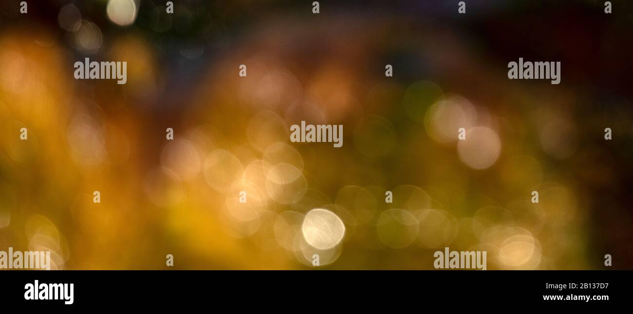 Bokeh sfondo di gocce d'acqua sul vetro Foto Stock