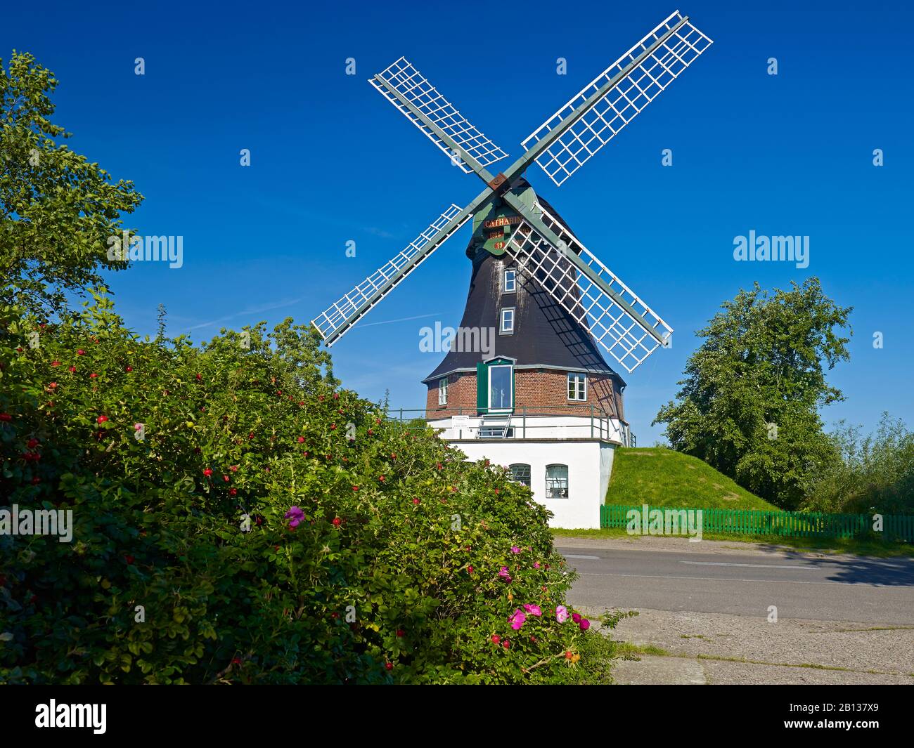 Mulino Catharina A Witzwort, Nord Frisia, Schleswig-Holstein, Germania Foto Stock