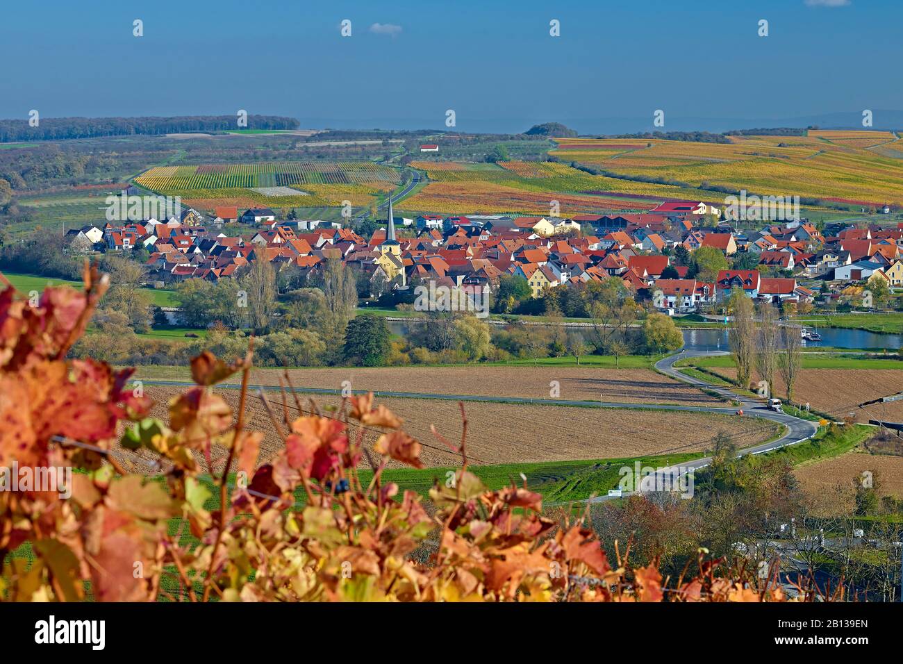 Guida al Main vicino Volkach, Bassa Franconia, Baviera, Germania Foto Stock