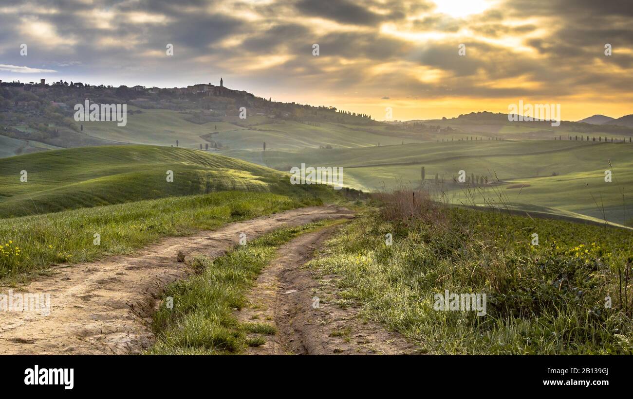 Pista sterrata in un paesaggio tranquillo con gruppi di alberi nelle colline ondulate della Val d'Orcia Toscana, Italia, aprile. Foto Stock