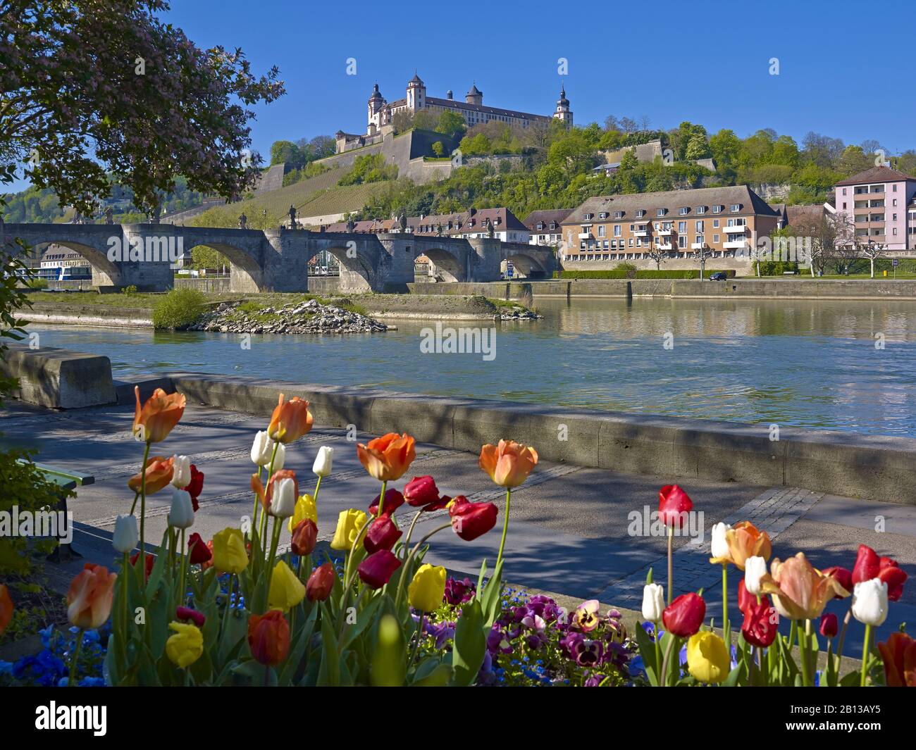 Ponte Vecchio Principale Con Fortezza Marienberg A Wurzburg, Bassa Franconia, Baviera, Germania, Europa Foto Stock