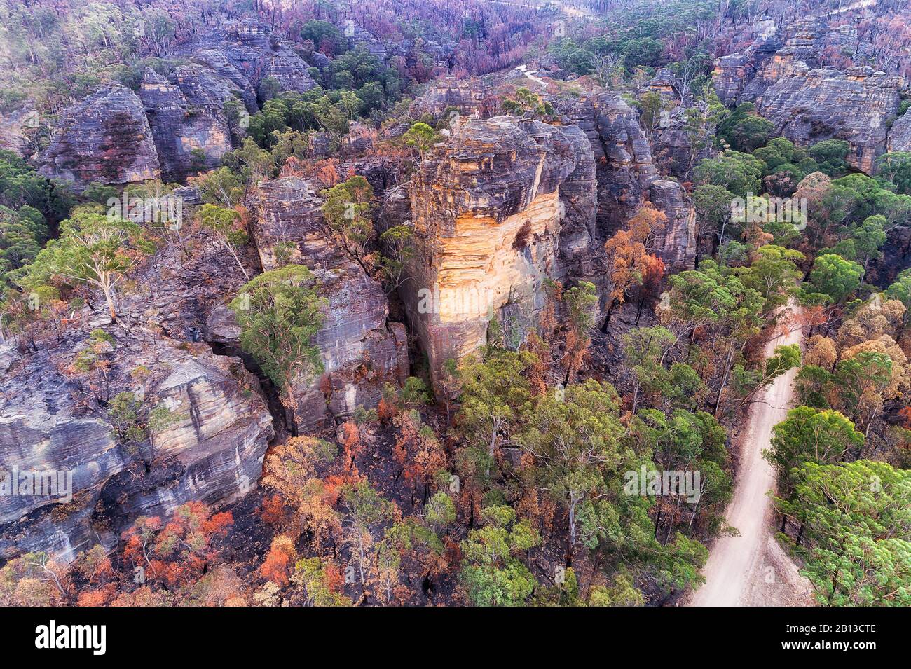 Scoscese rocce di arenaria e scogliere in Australia Blue Mountains su gomialberi coperto valmente e locale non sigillato strada. Ragazza solitaria sulla cima della scogliera. Foto Stock